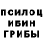 Псилоцибиновые грибы Psilocybe Madiar Khamitov