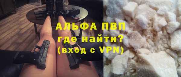 шишки Коряжма