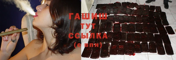 шишки Коряжма