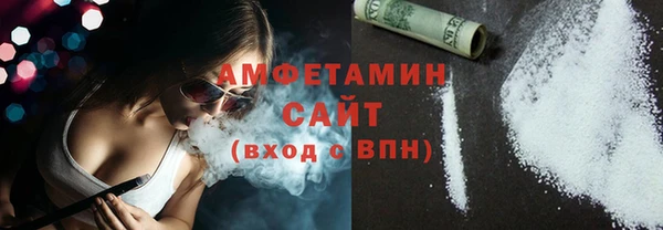 шишки Коряжма