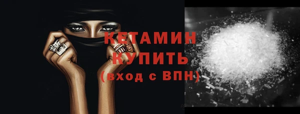 шишки Коряжма