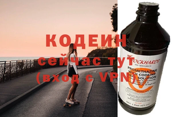 шишки Коряжма