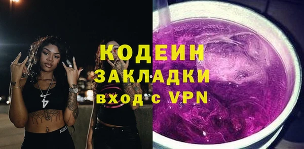 шишки Коряжма