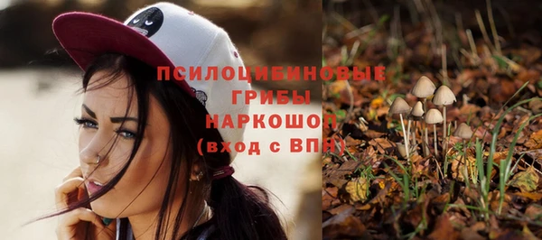соль ск Краснотурьинск
