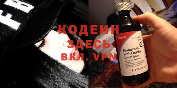 шишки Коряжма